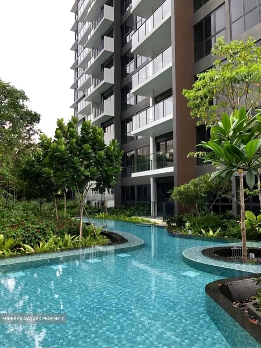 The Clement Canopy (D5), Apartment #560091451